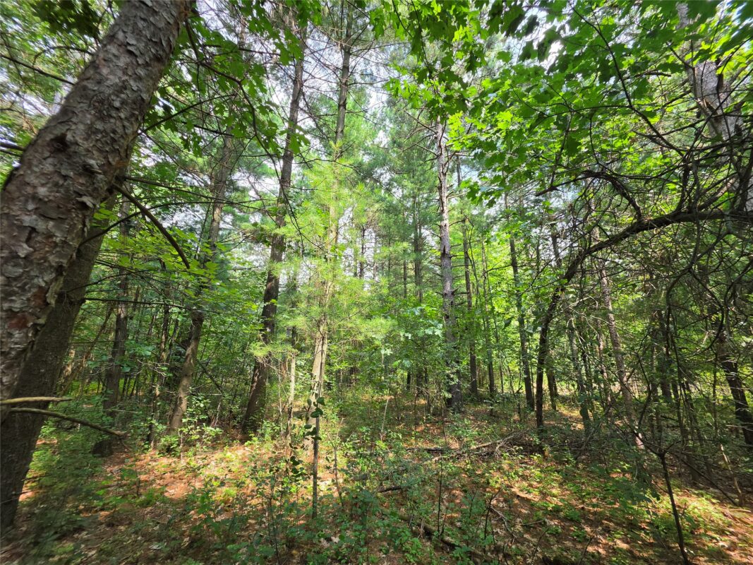0 Country Road C Road, Elk Mound WI 54739 - Land house for sale - MLS #1603775 - image9