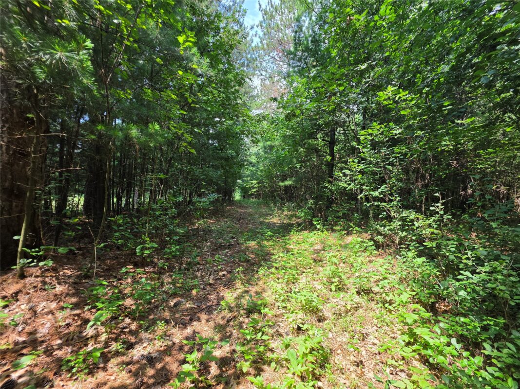 0 Country Road C, Elk Mound WI 54739 - Land house for sale - MLS #1603775 - image10