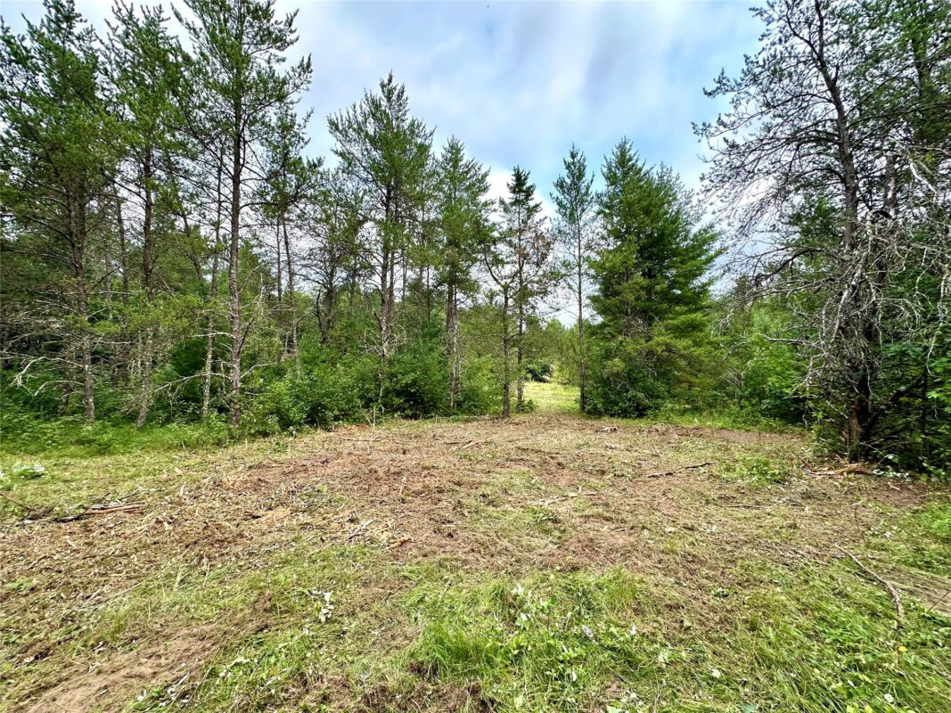 0 County Road N, Augusta WI 54722 - Land house for sale - MLS #1603727 - image11