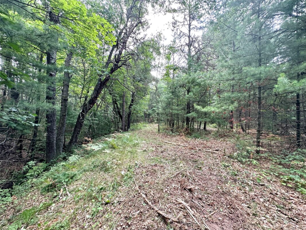 0 County Road N, Augusta WI 54722 - Land house for sale - MLS #1603727 - image13