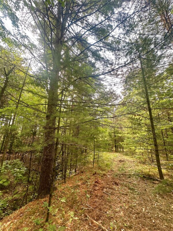 0 County Road N, Augusta WI 54722 - Land house for sale - MLS #1603727 - image14