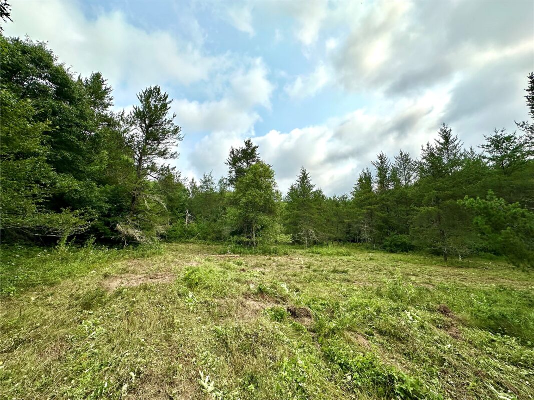 0 County Road N, Augusta WI 54722 - Land house for sale - MLS #1603727 - image15