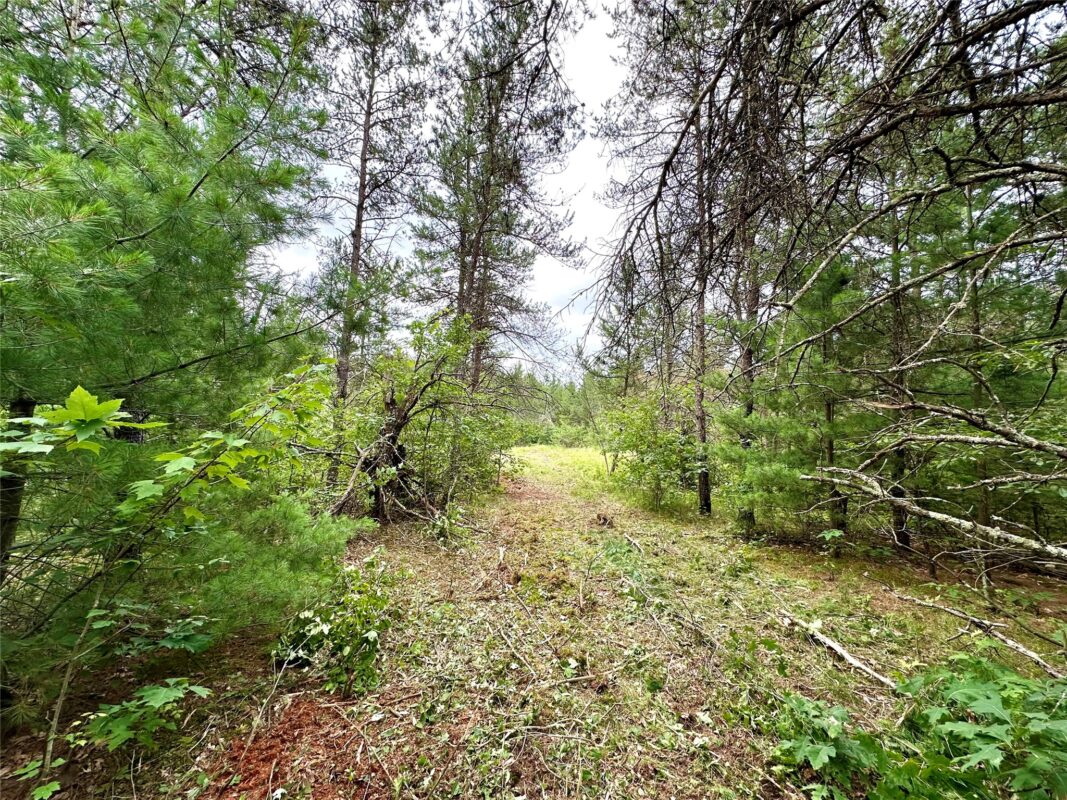 0 County Road N, Augusta WI 54722 - Land house for sale - MLS #1603727 - image16