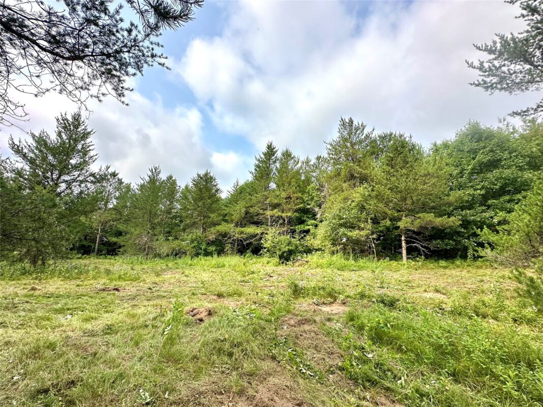 0 County Road N, Augusta WI 54722 - Land house for sale - MLS #1603727 - image17