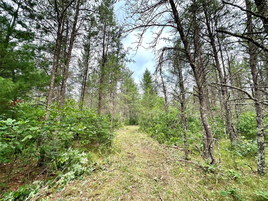 0 County Road N, Augusta WI 54722 - Land house for sale - MLS #1603727 - image18
