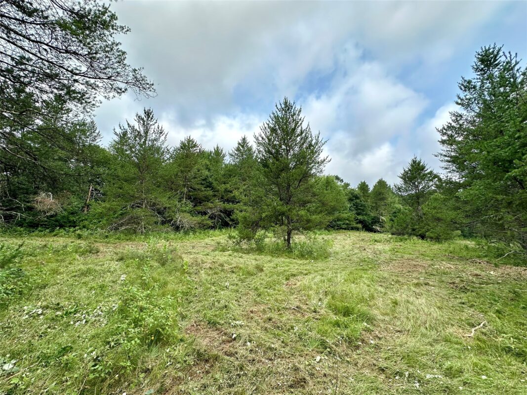 0 County Road N, Augusta WI 54722 - Land house for sale - MLS #1603727 - image19