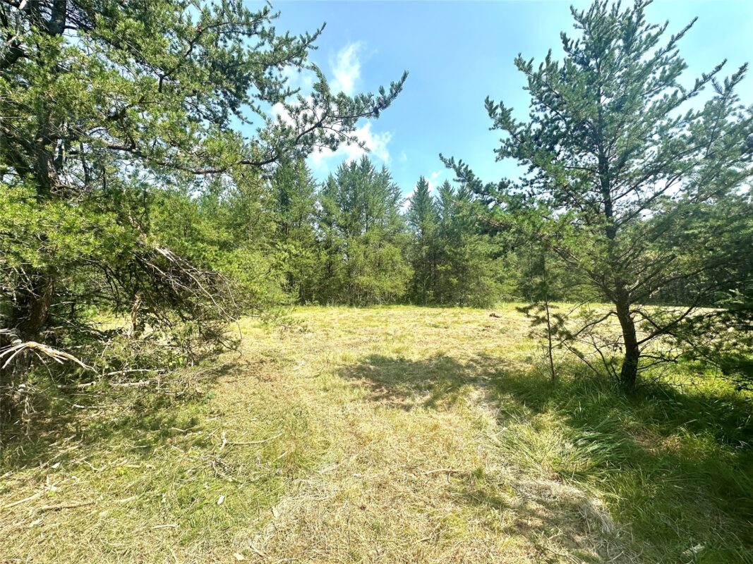 0 County Road N, Augusta WI 54722 - Land house for sale - MLS #1603727 - image20