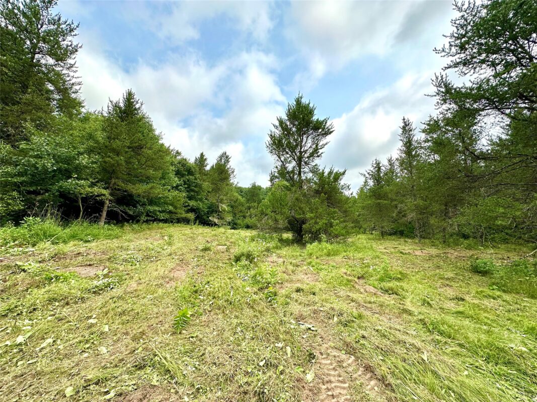0 County Road N, Augusta WI 54722 - Land house for sale - MLS #1603727 - image21