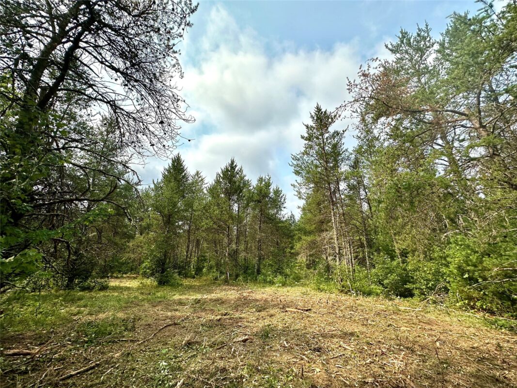 0 County Road N, Augusta WI 54722 - Land house for sale - MLS #1603727 - image22