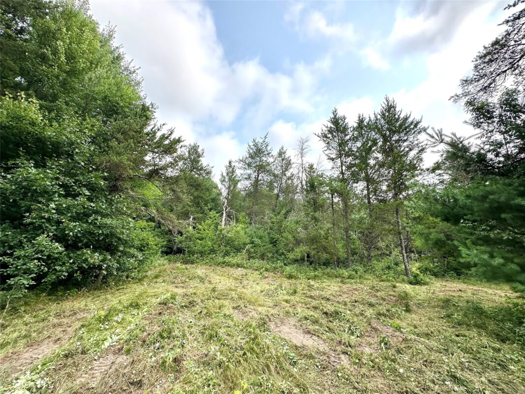 0 County Road N, Augusta WI 54722 - Land house for sale - MLS #1603727 - image23