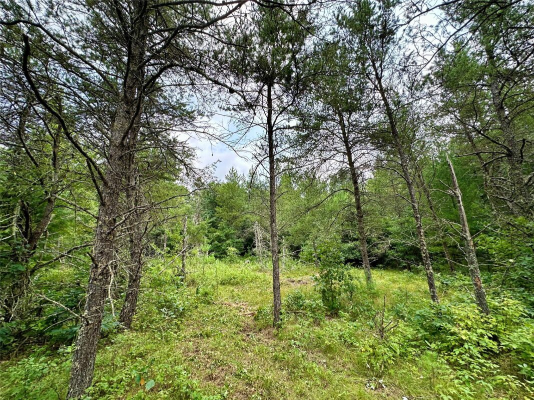 0 County Road N, Augusta WI 54722 - Land house for sale - MLS #1603727 - image25