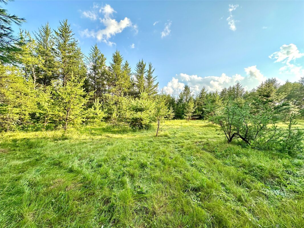 0 County Road N, Augusta WI 54722 - Land house for sale - MLS #1603727 - image4