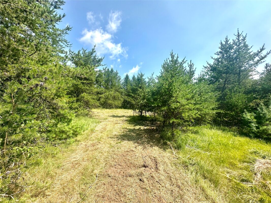 0 County Road N, Augusta WI 54722 - Land house for sale - MLS #1603727 - image7