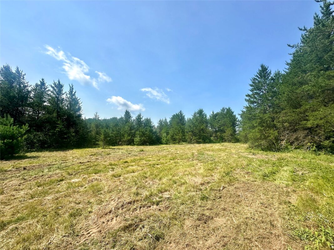 0 County Road N, Augusta WI 54722 - Land house for sale - MLS #1603727 - image9