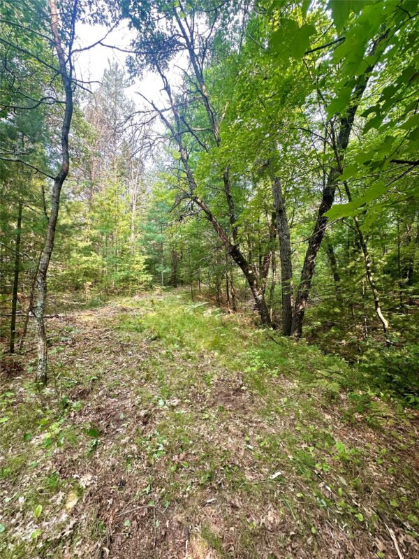 0 County Road N, Augusta WI 54722 - Land house for sale - MLS #1603727 - image10