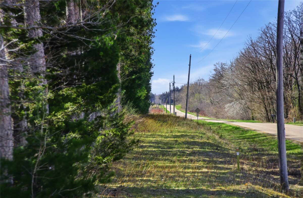 0 Nelson Road and WI-37, Mondovi WI 54755 - Land house for sale - MLS #1600320 - image2