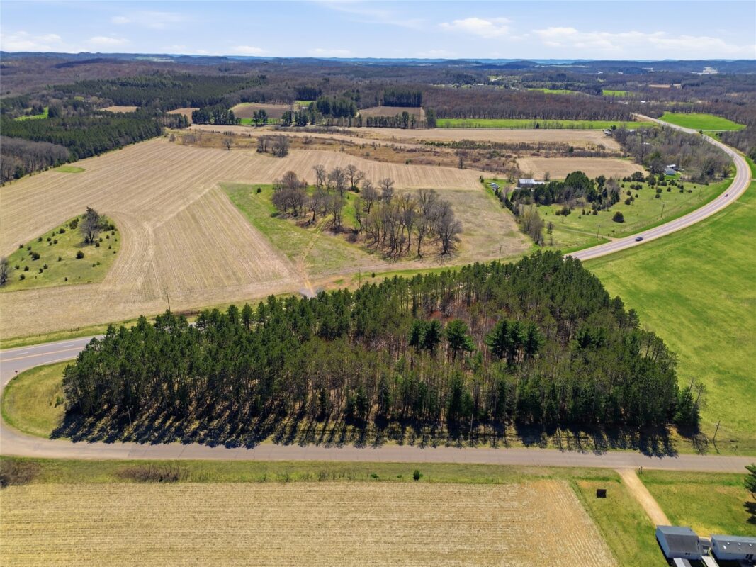 0 Nelson Road and WI-37, Mondovi WI 54755 - Land house for sale - MLS #1600320 - image11