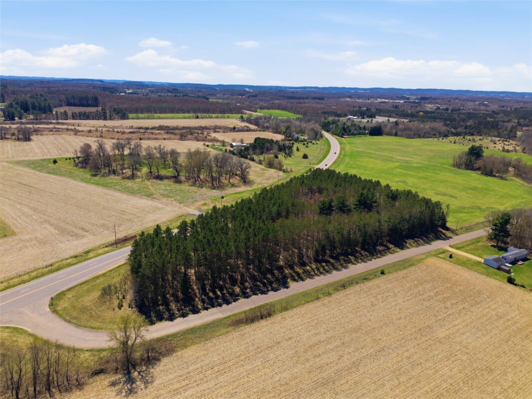 0 Nelson Road and WI-37, Mondovi WI 54755 - Land house for sale - MLS #1600320 - image14