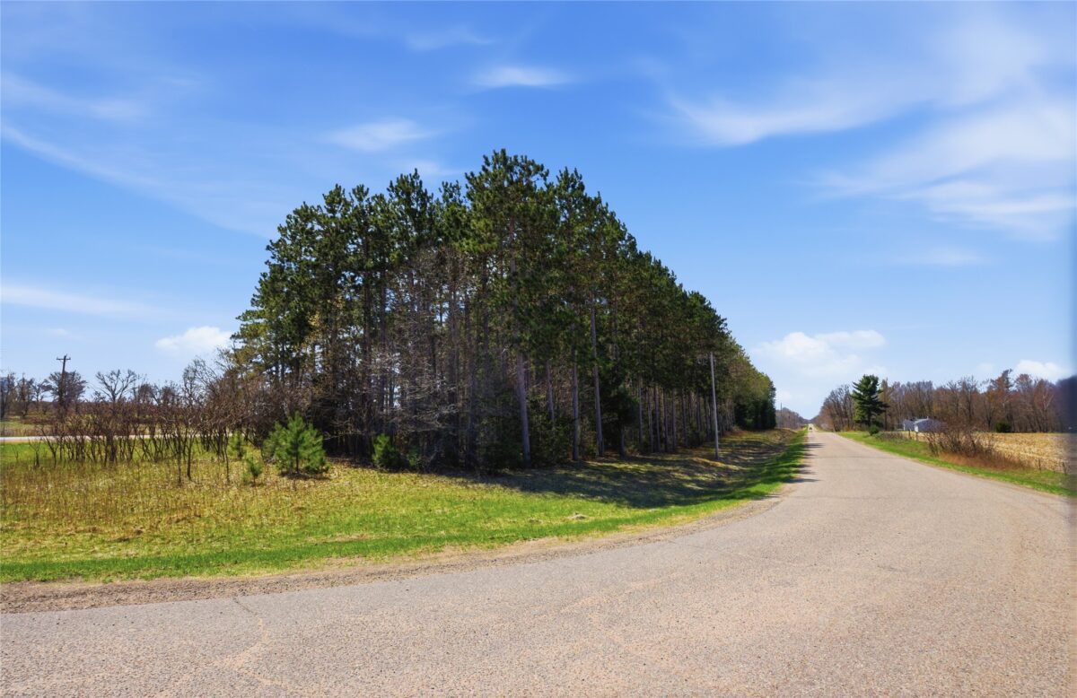 0 Nelson Road and WI-37, Mondovi WI 54755 - Land house for sale - MLS #1600320 - image4