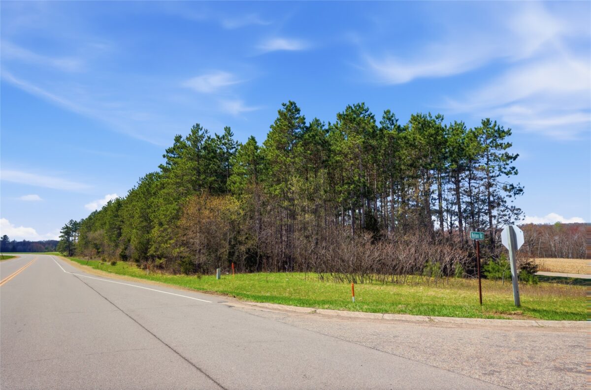 0 Nelson Road and WI-37, Mondovi WI 54755 - Land house for sale - MLS #1600320 - image6