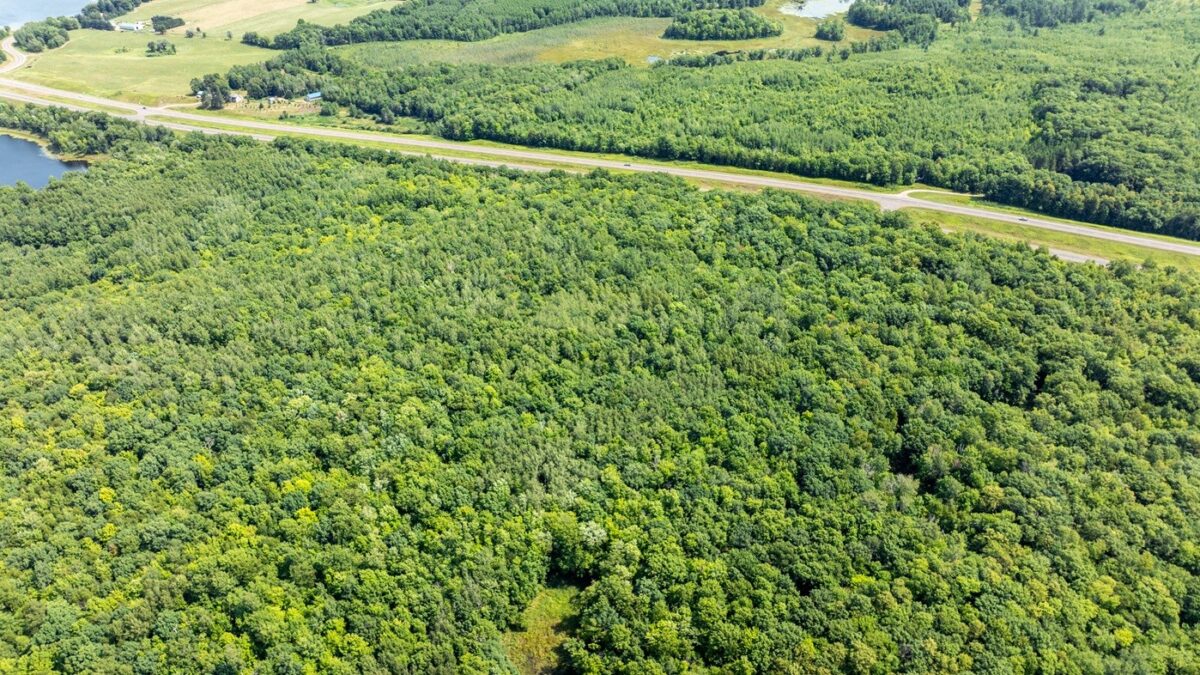 0 US Highway 53, Trego WI 54888 - Land house for sale - MLS #1604071 - image15