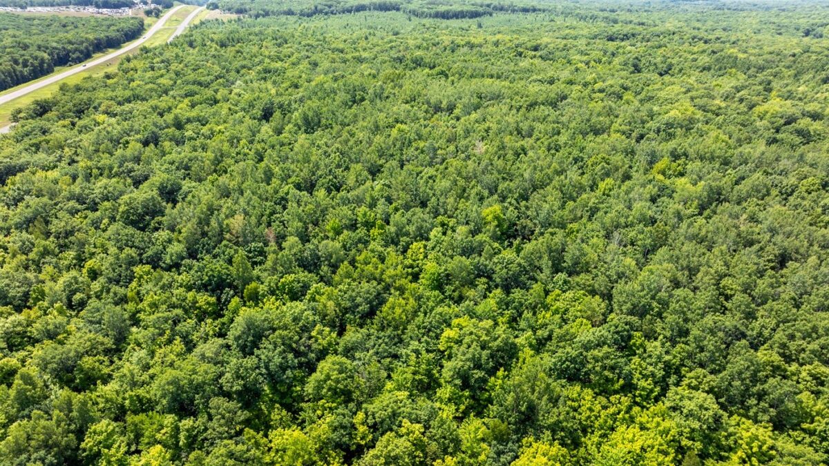 0 US Highway 53, Trego WI 54888 - Land house for sale - MLS #1604071 - image16