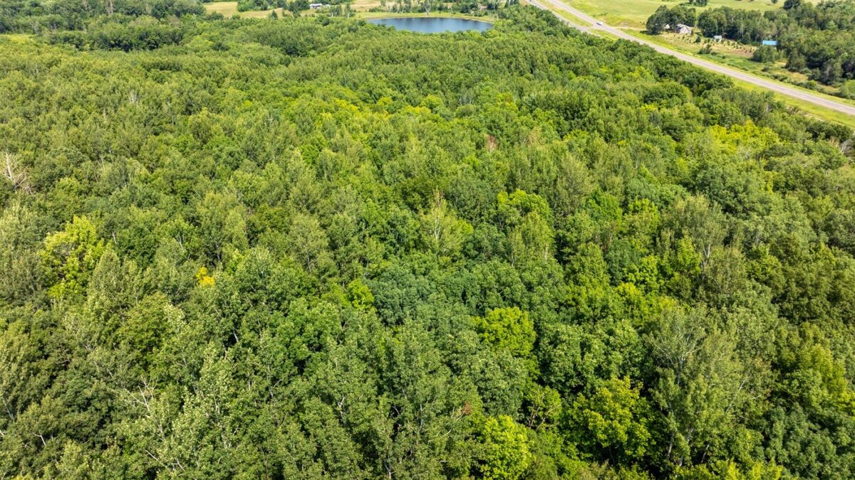 0 US Highway 53, Trego WI 54888 - Land house for sale - MLS #1604071 - image20