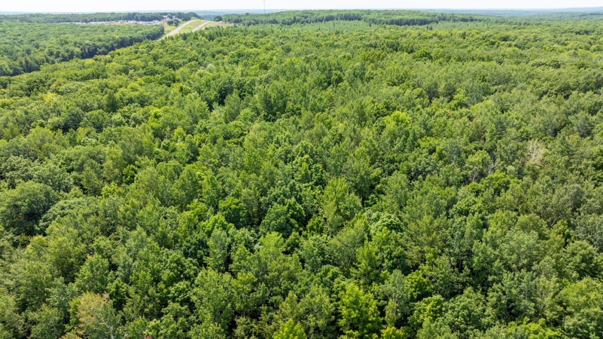 0 US Highway 53, Trego WI 54888 - Land house for sale - MLS #1604071 - image3