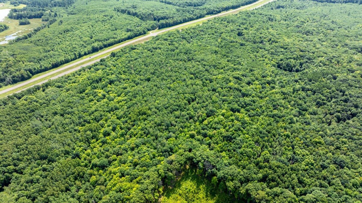 0 US Highway 53, Trego WI 54888 - Land house for sale - MLS #1604071 - image6
