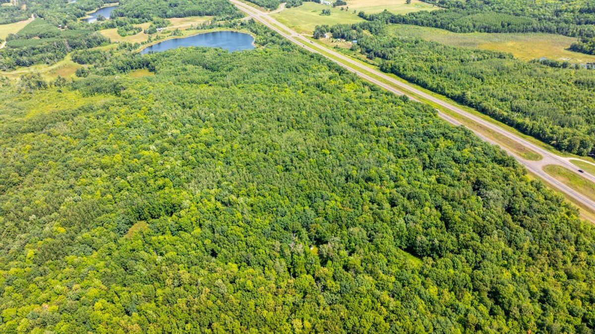 0 US Highway 53, Trego WI 54888 - Land house for sale - MLS #1604071 - image10