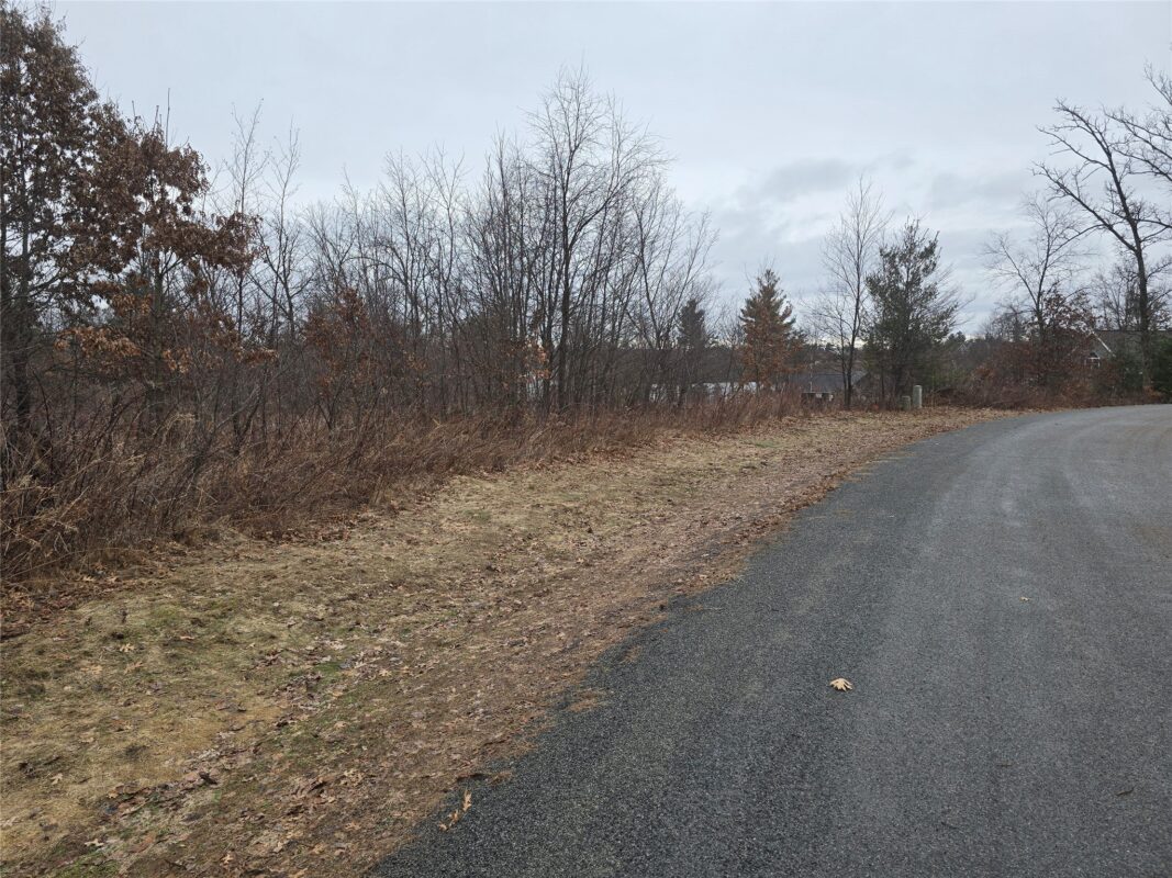 00 11 1/4 Avenue, Cameron WI 54822 - Land house for sale - MLS #1599084 - image2