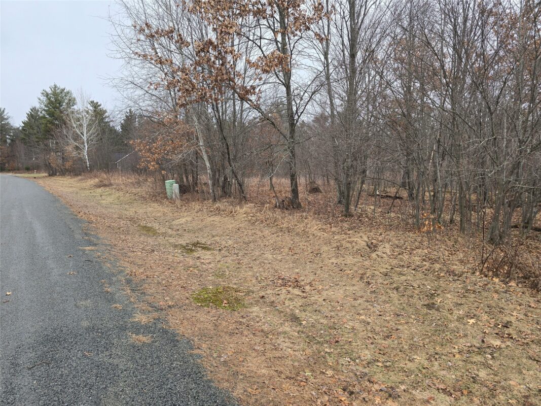 00 11 1/4 Avenue, Cameron WI 54822 - Land house for sale - MLS #1599084 - image3