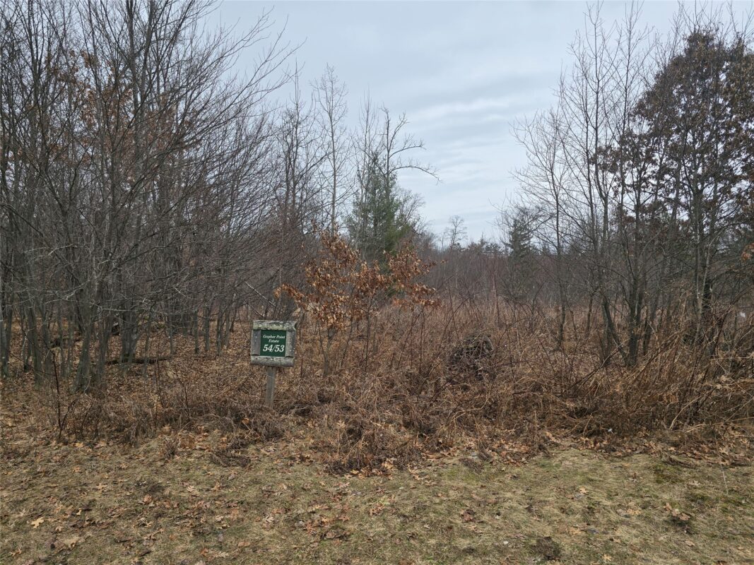 00 11 1/4 Avenue, Cameron WI 54822 - Land house for sale - MLS #1599084 - image4