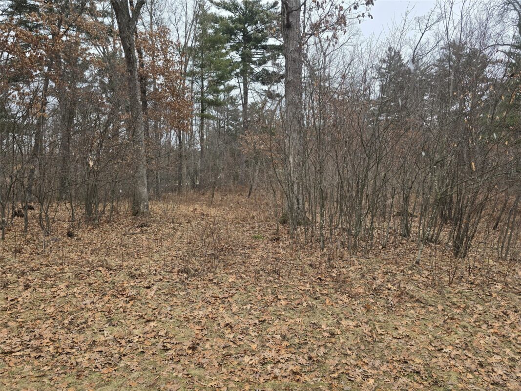 00 11 3/8 Avenue, Cameron WI 54822 - Land house for sale - MLS #1599097 - image4