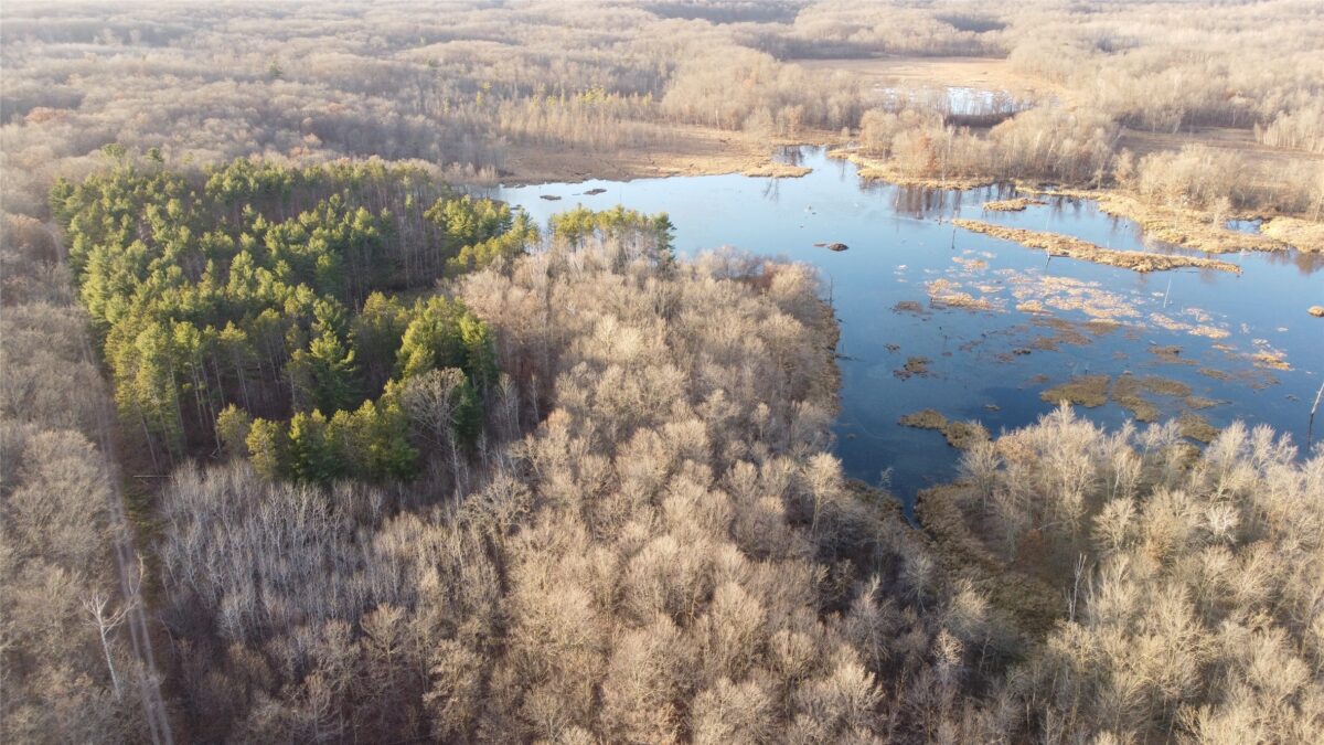 00 240th Street, Luck WI 54853 - Land house for sale - MLS #1603809 - image2
