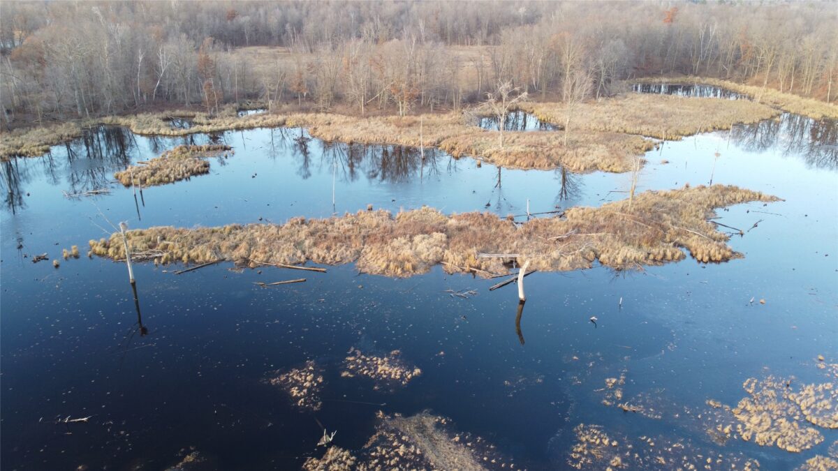 00 240th Street, Luck WI 54853 - Land house for sale - MLS #1603809 - image11