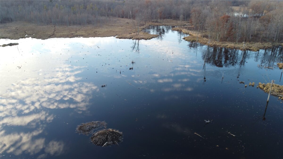 00 240th Street, Luck WI 54853 - Land house for sale - MLS #1603809 - image12