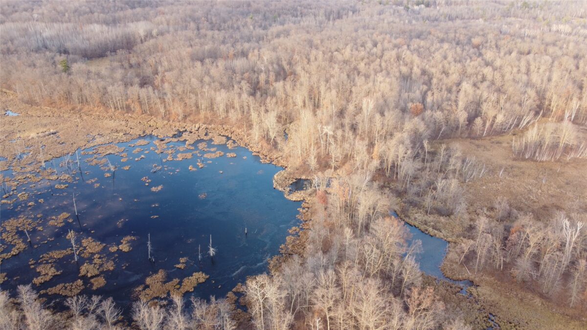 00 240th Street, Luck WI 54853 - Land house for sale - MLS #1603809 - image13