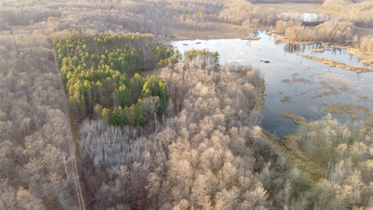 00 240th Street, Luck WI 54853 - Land house for sale - MLS #1603809 - image16