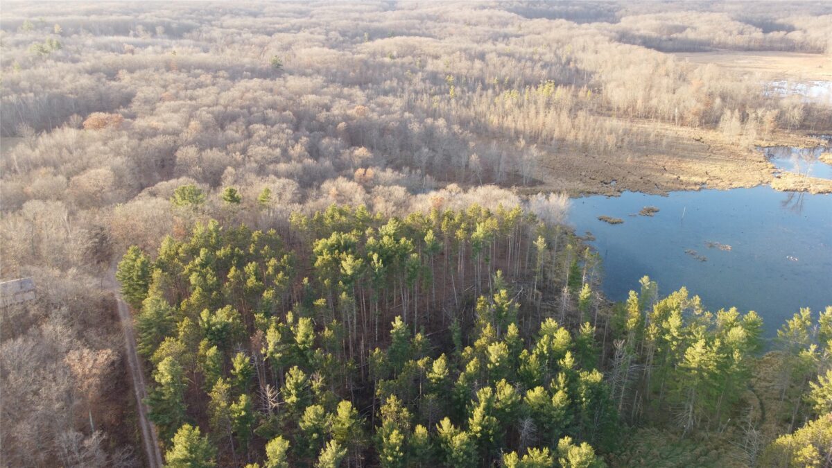 00 240th Street, Luck WI 54853 - Land house for sale - MLS #1603809 - image3