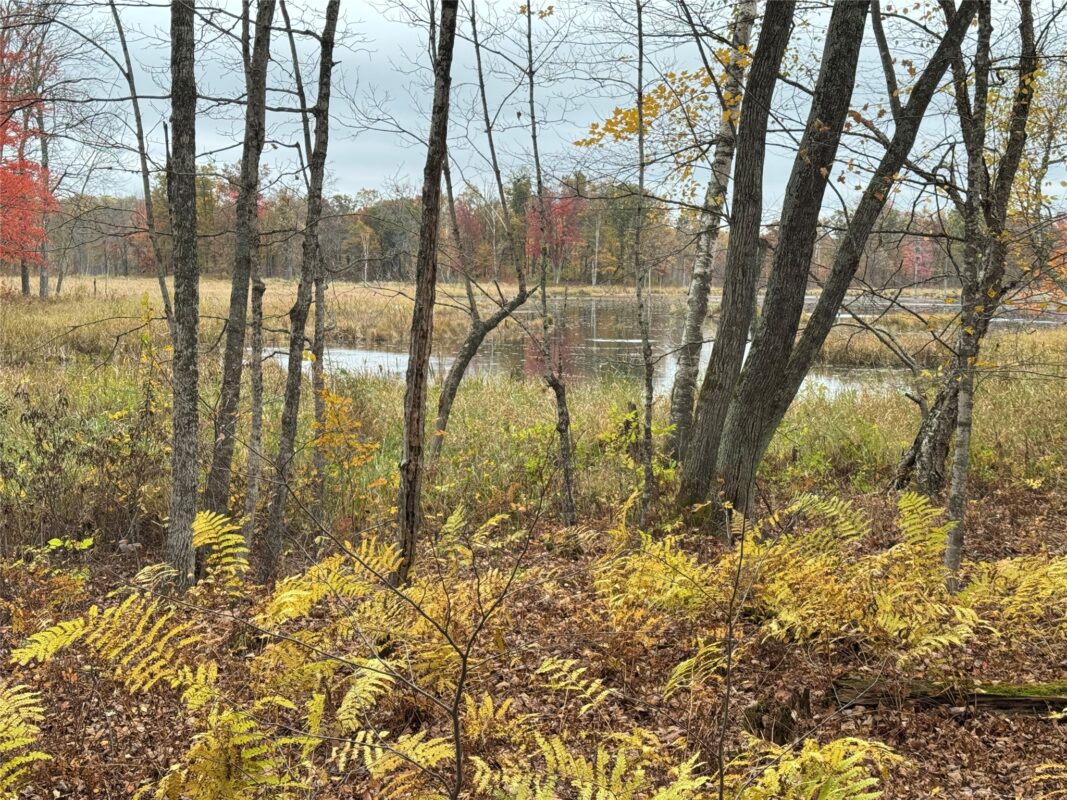 00 240th Street, Luck WI 54853 - Land house for sale - MLS #1603809 - image26