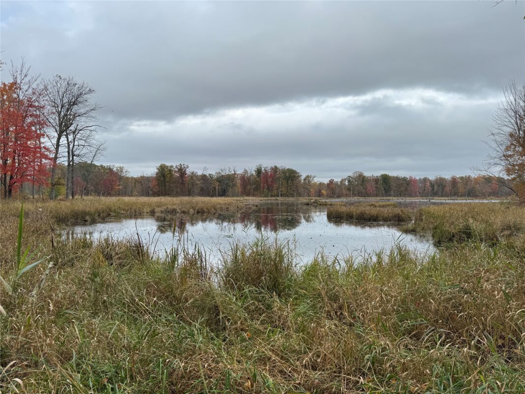 00 240th Street, Luck WI 54853 - Land house for sale - MLS #1603809 - image28