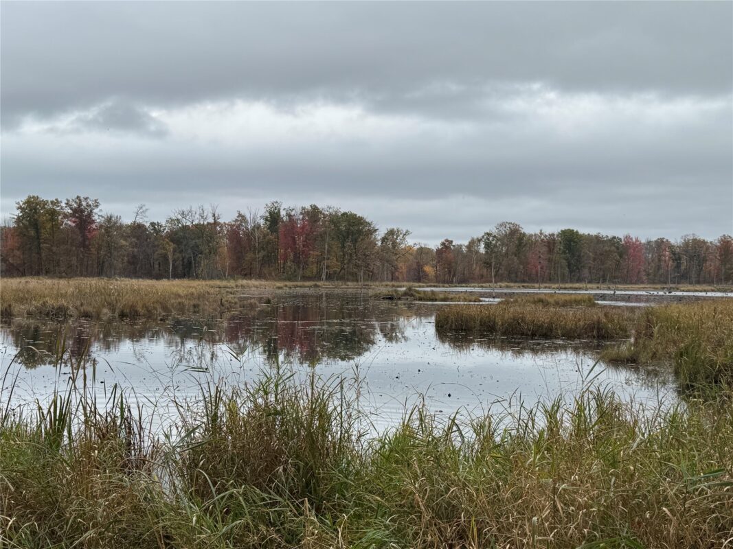 00 240th Street, Luck WI 54853 - Land house for sale - MLS #1603809 - image29