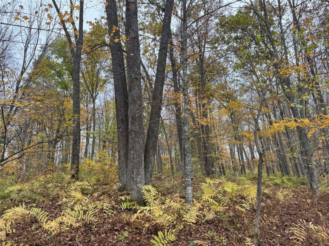 00 240th Street, Luck WI 54853 - Land house for sale - MLS #1603809 - image30