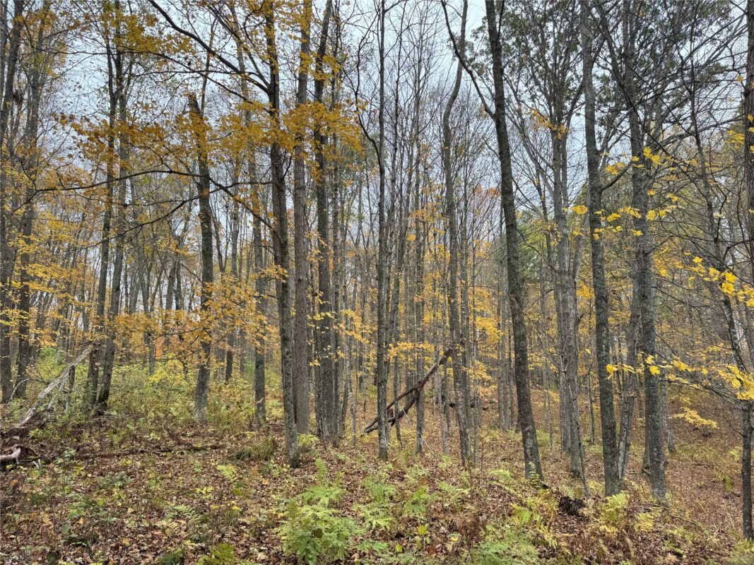 00 240th Street, Luck WI 54853 - Land house for sale - MLS #1603809 - image31