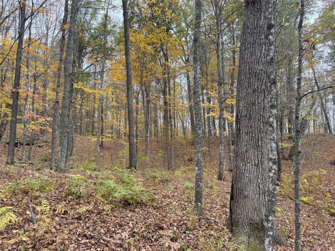 00 240th Street, Luck WI 54853 - Land house for sale - MLS #1603809 - image32