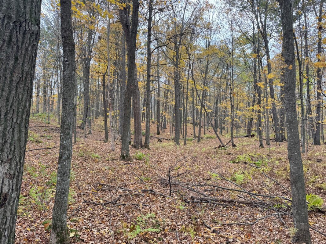 00 240th Street, Luck WI 54853 - Land house for sale - MLS #1603809 - image33