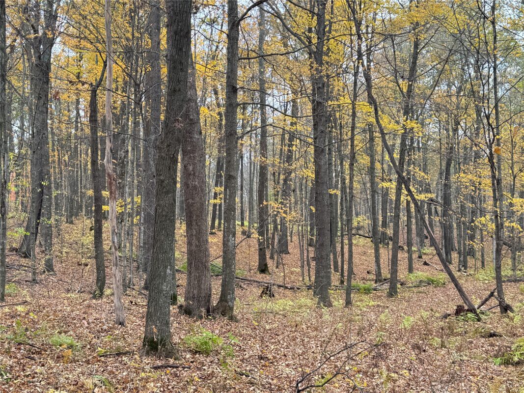 00 240th Street, Luck WI 54853 - Land house for sale - MLS #1603809 - image34
