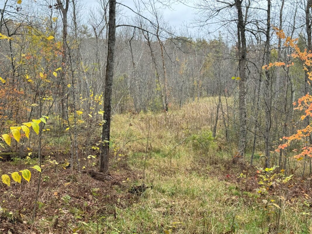 00 240th Street, Luck WI 54853 - Land house for sale - MLS #1603809 - image36