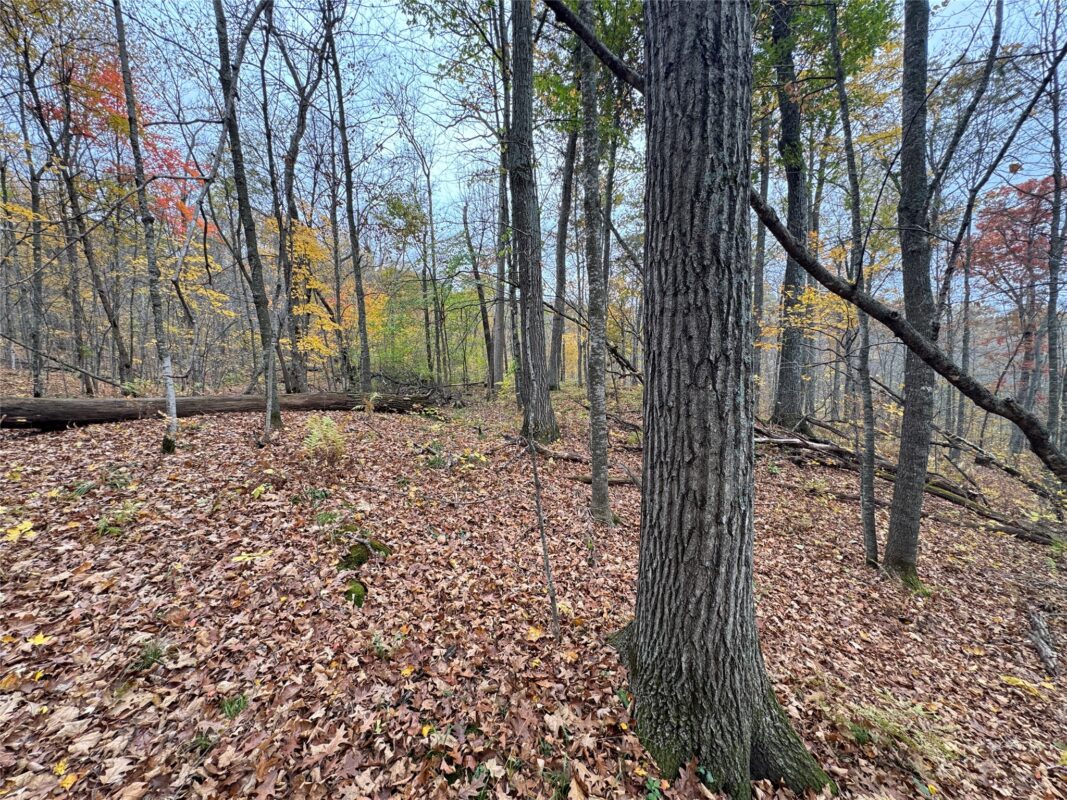 00 240th Street, Luck WI 54853 - Land house for sale - MLS #1603809 - image37